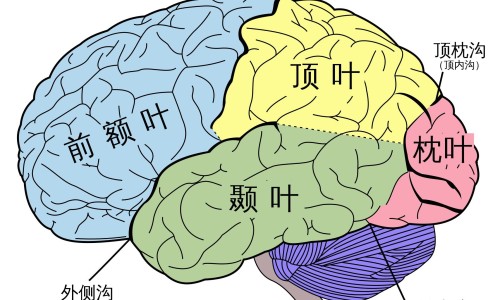 乙肝病人寿命一般活多少岁-乙肝病人容易早死吗网 - 网站提供乙肝病人的血弄到手上会被感染吗小常识、乙肝病人用过的东西还有传染性吗